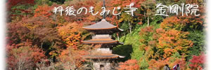 関西花の寺第四番「金剛院」
