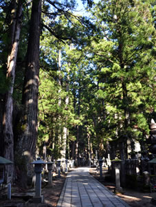 約20万基を超える諸大名の墓石や祈念碑、慰霊碑の数々が樹齢千年に及ぶ杉木立の中に立ち並んでいます。