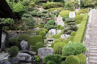 石段の両側には樹齢数百年の古木と、美しく整備された日本庭園