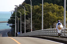 青龍寺へは、宇佐大橋を渡り海沿いの景色のいい道を進み、途中ちょっと奥まったところにあります。