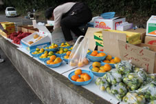 お寺の前で、地元野菜を販売。