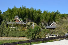 栄福寺は山の中腹にある静かなお寺です。