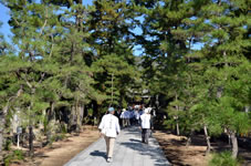 仁王門をくぐると松の大樹が茂る境内。