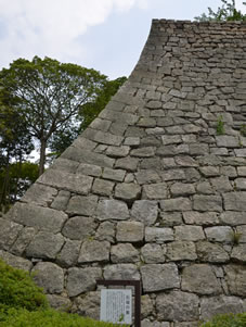 内堀から天守へ向け、4層に重ねられた丸亀城の石垣は、高さにして約60m、日本一の高さを誇ります。また、扇の勾配で知られる美しい曲線は、丸亀城の美を代表する石の芸術品としての風格を漂わせています。