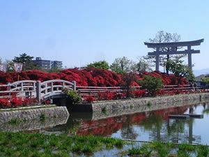 「中堤の太鼓橋」は加賀前田候の寄進といわれています。