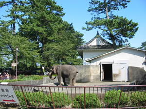 小田原城内の動物園