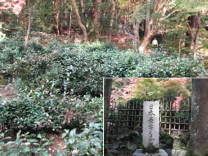 日本最古といわれる茶園