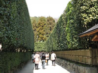 銀閣寺垣と言われる参道の左右約長さ50m竹垣が設けられています。