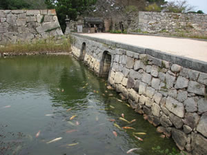 萩城跡入口、お堀には錦鯉