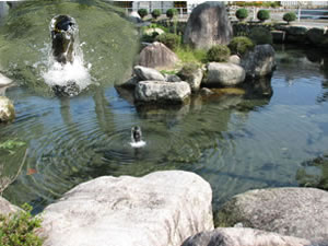 正伝寺境内の亀の池に水が湧き出ています。