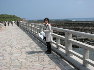 青島へ渡る弥生橋と鬼の洗濯岩