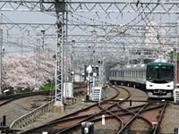京阪電車「樟葉駅」の新型車両と満開の桜
