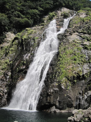 屋久島で最大規模の滝、落差88ｍ。