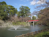 公園内の朱塗りの橋と噴水