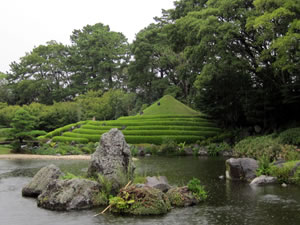 茶畑に見立てたサツキの畝と芝に囲まれた築山は、駿河の国の象徴・富士山。