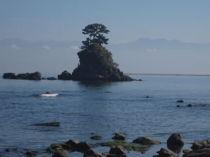 岩礁多く白砂青松の景勝の地で「日本の渚百選」