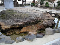 「弁天崎源泉公園」亀の形をした石から源泉が湧き出ています。