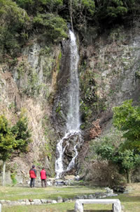「白竜の滝」は、日本海沿いの国道305号を南越前町内を北上し、その最北端の越前町との境界付近にある滝です。