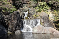 日本庭園内の滝