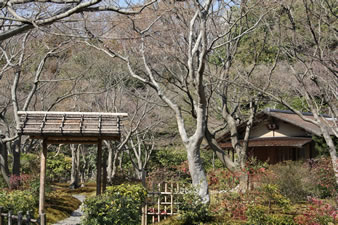 書院風のお茶室「汎庵」と草庵造りの「万里庵」があり、庭は禅宗の影響を受けた日本独自のものです。
