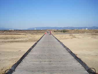 日本最長、全長356m、幅3mの木造橋