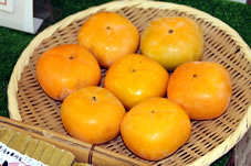 おけさ柿は形が偏平で、渋柿であるが種がないのが特徴です。渋抜きによって、甘柿にはない柔らかい肉質となり、とろけるような甘さが味わえます。

