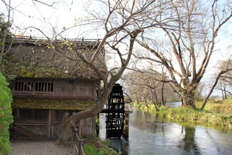 この水辺は、1989年黒澤映画「夢」の舞台として選ばれ、当時のままの風景を残しています。