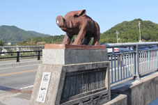 篠山川の橋の欄干にいのししが出現