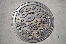 旧上田市のシンボルマークである「六花文」を中心に市花であるツツジをあしらったデザインです。