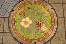 松山市の花ヤブツバキの周囲に、特産の「伊予かすり」を配したカラーマンホール。