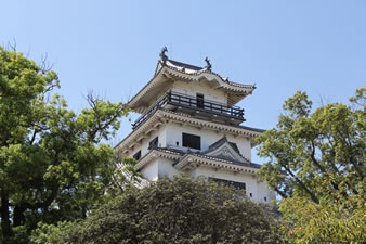 現在の天守は昭和55年に建てられました。