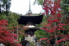日本最古の「多宝塔」