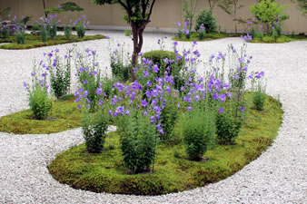 「源氏庭」白砂と苔のコントラストが美しい庭です。