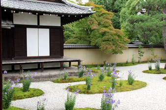 源氏庭は平安朝の庭園の「感」を表現したものであり、白砂と苔の庭です。
