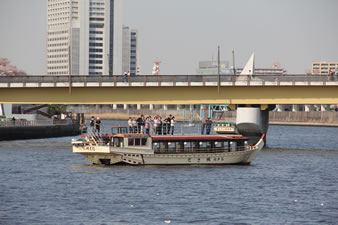 桜橋（花見船から東京スカイツリーを望む）