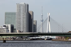 中央大橋とビル群の間に、東京スカイツリーが望めます。