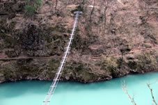 猿専用の吊橋