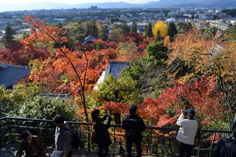 多宝塔まで上がると京都の市街地が一望できます。