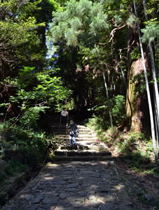 杉並木に囲まれた「大門坂」熊野古道