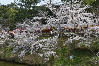 お堀の桜並木に屋台が建ち並ぶ。