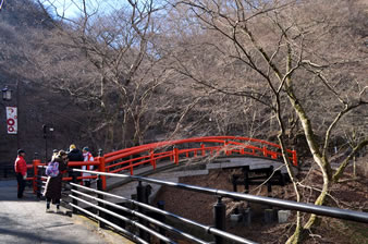 湯元付近にある「河鹿橋」は、毎年秋になると紅葉が楽しめる名所です。