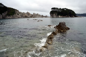 海の沖に向かって伸びる岩。その先には松の木でおおわれた石灰岩が見えます。