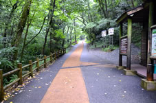 九州自然歩道（癒しのコース1km、約30分散策する。）