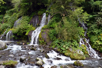 川俣川渓谷にいくつかある滝の中で最も美しい落差10m、幅15mの優雅な吐竜(どりゅう)の滝。