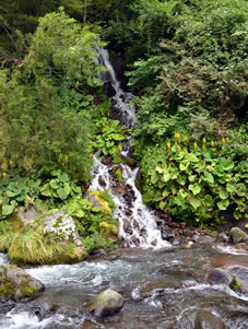 落差10m、幅15mの優雅な吐竜の滝。