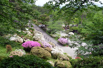 千秋公園は、慶長7年（1602年）から、明治2年（1869年）の版籍奉還まで、12代267年間続いた秋田藩20万石佐竹氏の居城、久保田城跡です。