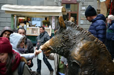 イタリアのフィレンツェには、幸運の子豚と呼ばれるイノシシの像が街のシンボルとなっ ています。像の鼻を撫でると幸運をもたらすと云われ、観光客にも人気のスポットです。