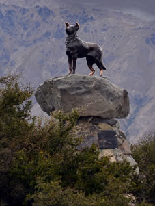 テカポ湖畔の教会のすぐそばにバウンダリー犬の像が立っています。これは開拓時代に柵のない境界線（バウンダリー）を守って活躍した牧羊犬の功績を称え、1968年に作られたもの。バウンダリー犬の像の銘板に、牧羊犬への感謝の言葉が刻まれています。