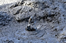 地熱地帯を象徴するマッド・プールは、日本の温泉地では地獄といわれる場所で、泥がブクブクと音を立てて煮立っている。温泉特有の硫黄臭が漂う。