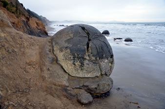 「モエラキ」とはこの海岸名、「ボルダー」とは大きな岩という意味。